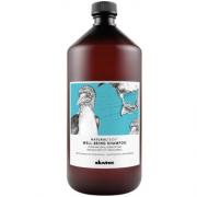 Davines(特芬莉)  達芬尼斯 新自然生機 樂活紫菊潤髮霜 1000ml