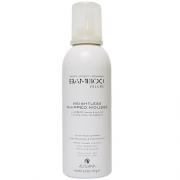 歐娜國際 Alterna  BAMBOO 瑪卡瘋泡 170ml