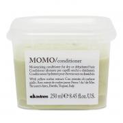 Davines(特芬莉) 達芬尼斯 MOMO 甘露保濕輕髮膜 250ml (水潤輕髮膜)
